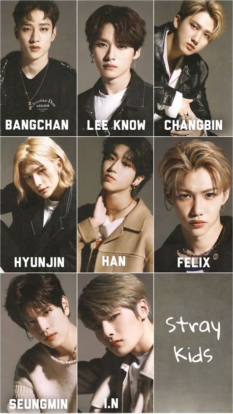 straykids rule 34|Everything You Need to Know About Stray Kids, the South .